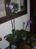 thumb_DSCN1350.JPG