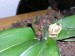 thumb_DSCN1546.jpg
