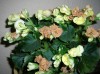 thumb_DSCN2075.jpg