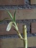 thumb_DVC00050.JPG