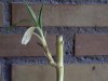thumb_DVC00053.JPG