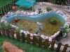 thumb_Estanque-13.JPG