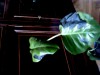 thumb_hoja001.jpg