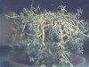 thumb_Image00002%7E20.jpg
