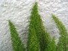 thumb_image006.jpg