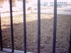 thumb_Imagen%20001%7E28.jpg