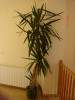 thumb_Imagen%20006%7E7.jpg