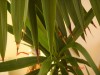 thumb_Imagen%20007%7E1.jpg