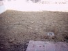 thumb_Imagen%20010%7E4.jpg