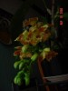 thumb_Imagen%20028%7E3.jpg