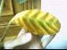 thumb_Imagen%20038.jpg