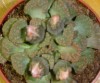 thumb_Imagen%20047_edited.jpg