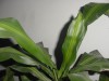 thumb_Imagen%20084%7E1.jpg