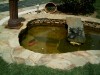 thumb_Imagen%20099.jpg