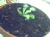 thumb_Imagen%206.JPG