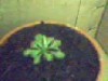 thumb_Imagen%208.JPG