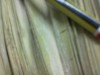 thumb_Imagen%28101%29.jpg