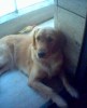 thumb_Imagen%285%29%7E5.jpg