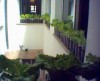 thumb_Imagen%289%29%7E0.jpg
