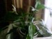 thumb_Imagen009.jpg