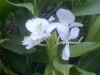 thumb_Imagen028%7E0.jpg