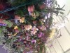 thumb_Imagen061.jpg