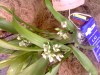 thumb_Imagen063%7E0.jpg