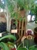 thumb_Imagen065%7E0.jpg