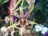 thumb_Imagen066%7E0.jpg