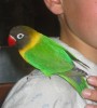 thumb_Imagen37%20bis.jpg