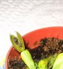 thumb_Imagen_018bis.jpg