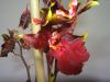 thumb_IMG_0018.jpg