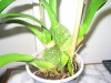 thumb_IMG_0021%7E0.jpg
