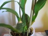 thumb_IMG_0022.jpg