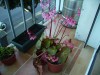 thumb_IMG_0079%7E3.JPG