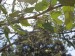 thumb_IMG_0537_640x480.jpg