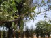 thumb_IMG_0538_640x480.jpg