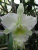 thumb_IMG_0857_576x768%7E0.jpg