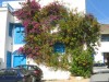thumb_IMG_0861.JPG