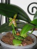 thumb_IMG_1681.JPG