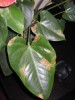 thumb_IMG_1873.JPG