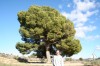 thumb_IMG_4478_1_1.JPG