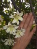 thumb_IMGP2471.JPG