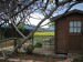 thumb_infojardin043.jpg