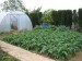 thumb_infojardin048.jpg