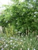 thumb_Jardim-Junho-040.jpg