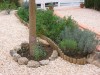 thumb_jardin%20010%7E0.jpg