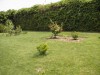 thumb_Jardin%20030reducidajpg%7E0.jpg
