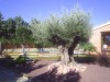 thumb_jardin%20y%20claudia%202005%20016.jpg