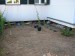 thumb_JARDIN1%20096.JPG